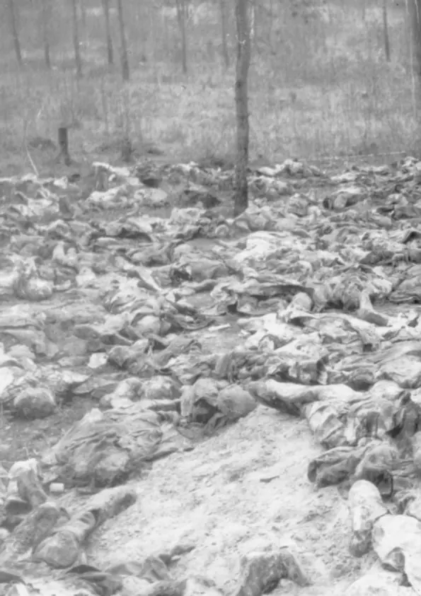 Los crímenes del comunismo