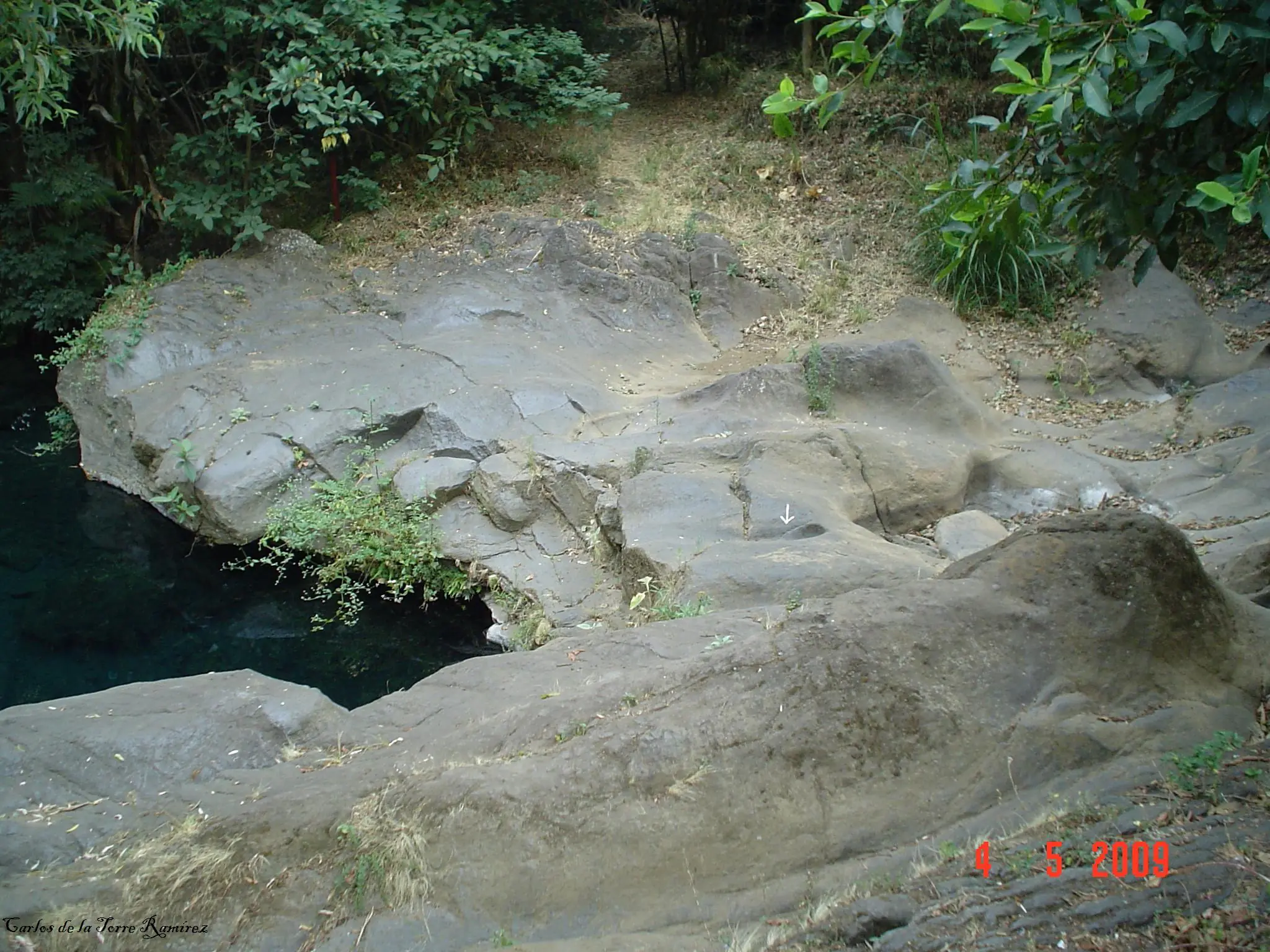 fotos
