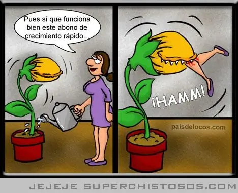 Hacelo vos mismo, pero con humor.