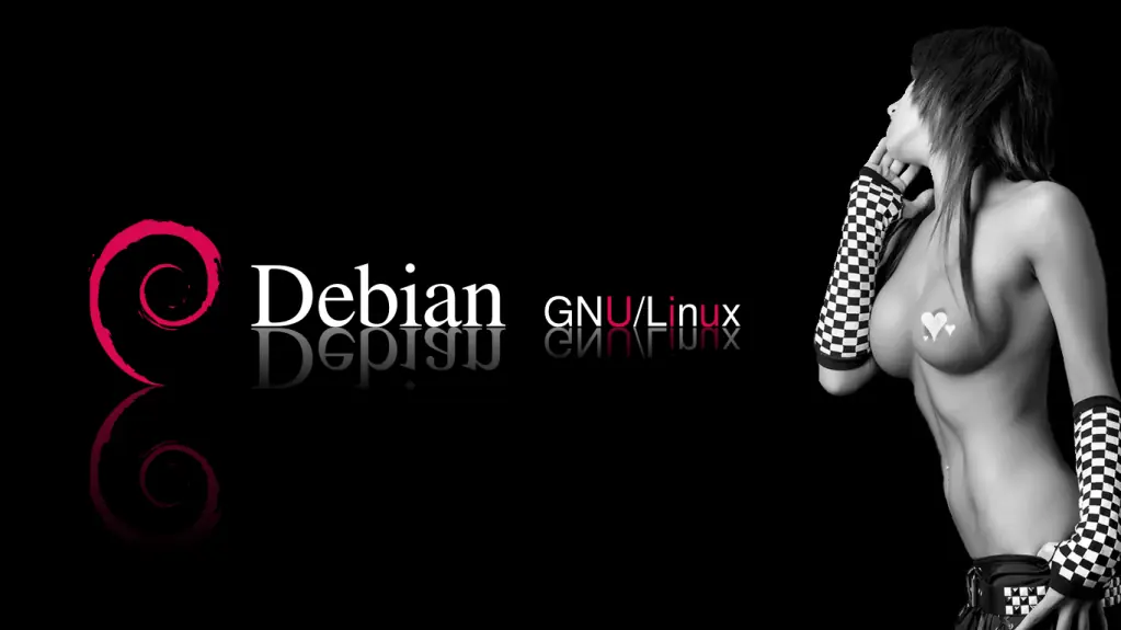 Actualizar Debian automáticamente usando unattended-upgrade