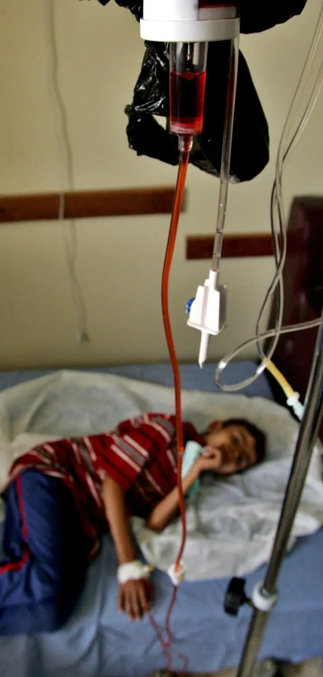 Se acercan a la cura de la leucemia