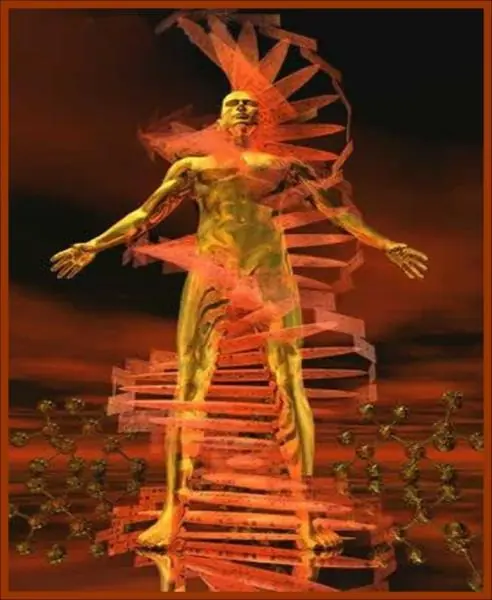 Luz