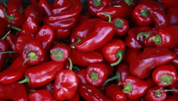 Pimientos rojos, ricos y mágicos