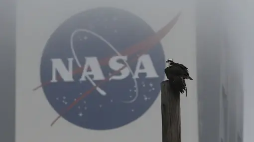Primeros Anuncios: NASA No Anuncia vida en Marte