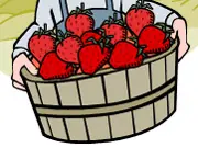 Cultia tus propias Frutillas/fresas en una maceta!