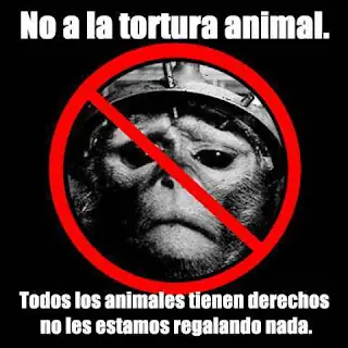 Experimentos con animales