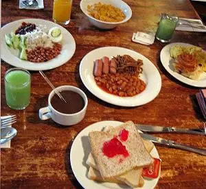lengua