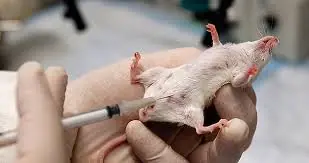 Peligro: Hallan la toxina más letal del mundo