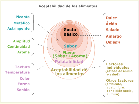 Los seis sabores de la lengua