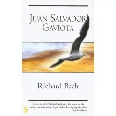 gaviota