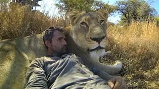 Entre Leones