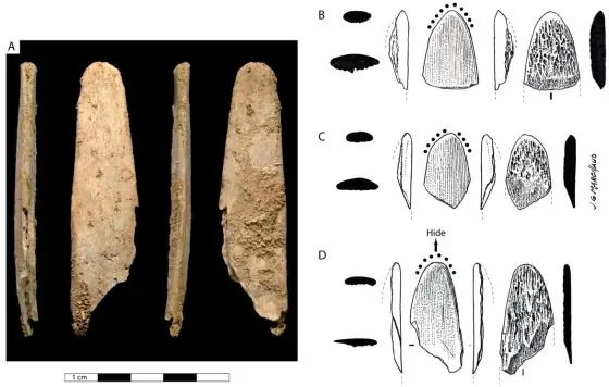 Copiaron nuestros antepasados la tecnología de neandertales