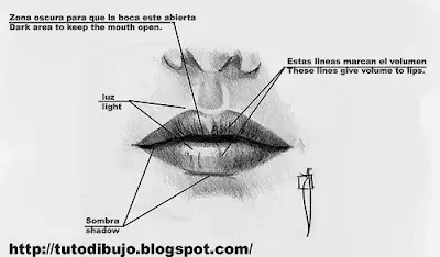 BIBLIOTECA DE DIBUJO