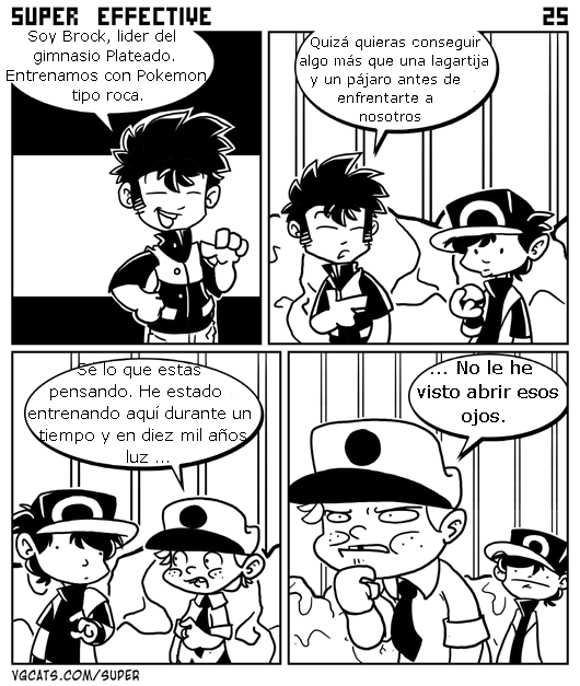Otro punto de vista para pokémon