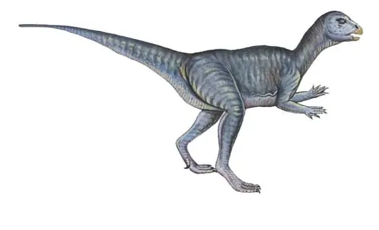 Animales prehistóricos parte 1