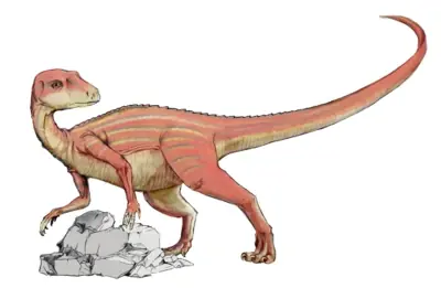 reptiles
