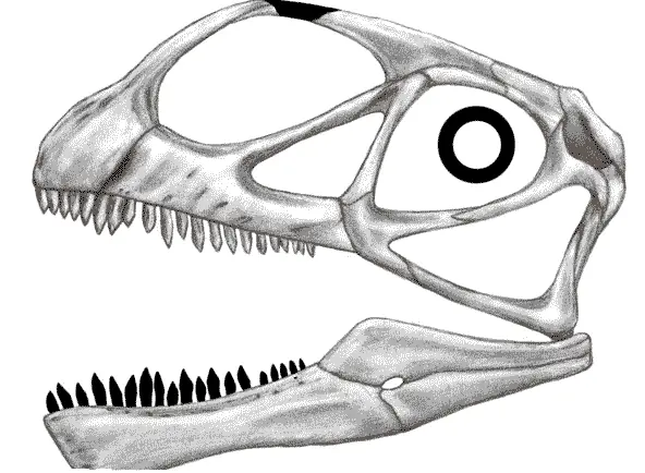 prehistoria