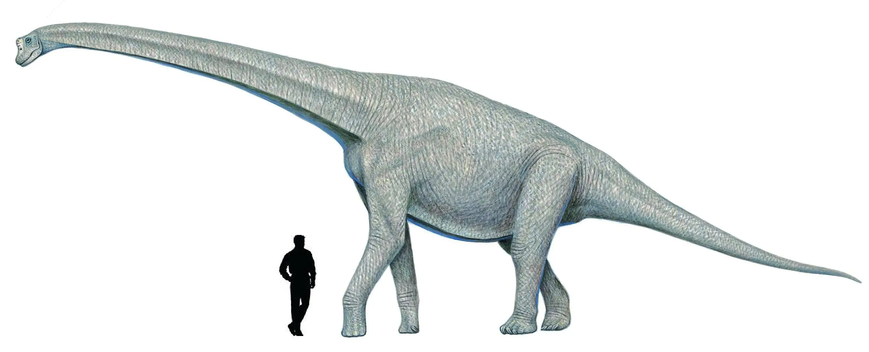 Animales prehistóricos parte 1