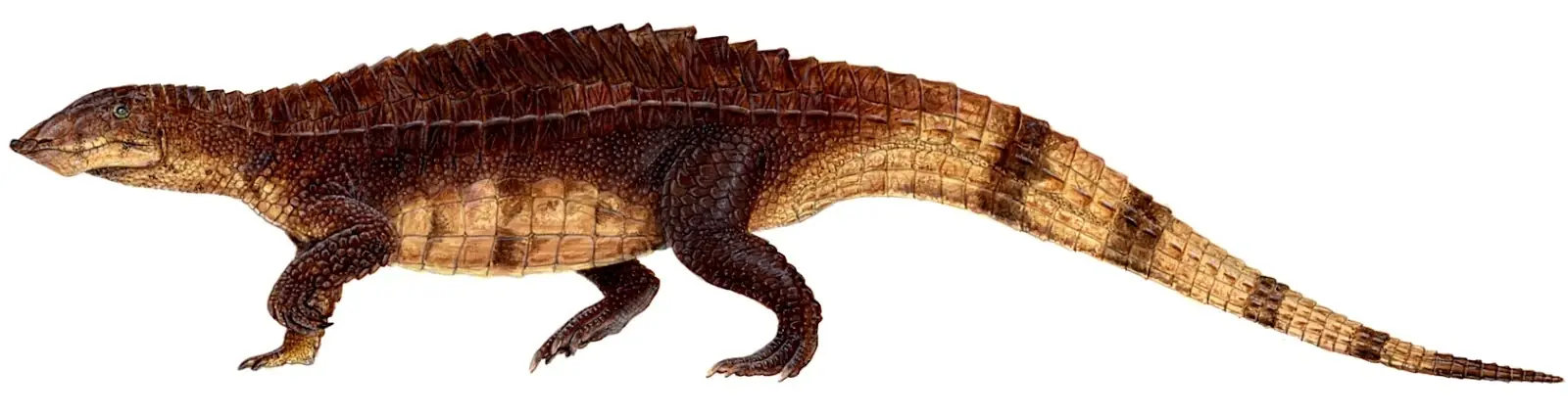 prehistoria