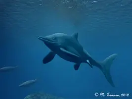 Animales prehistóricos parte 1