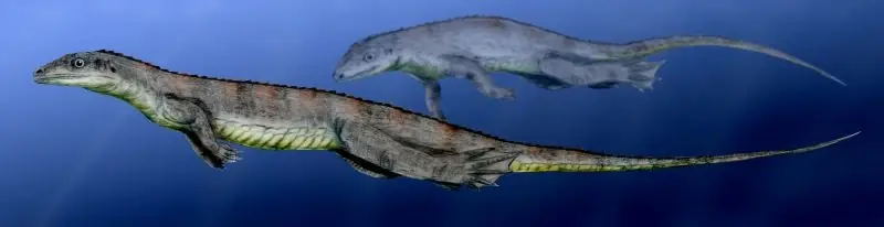 prehistoria
