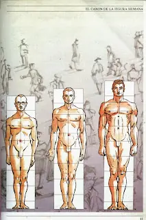 Biblioteca Del Dibujo