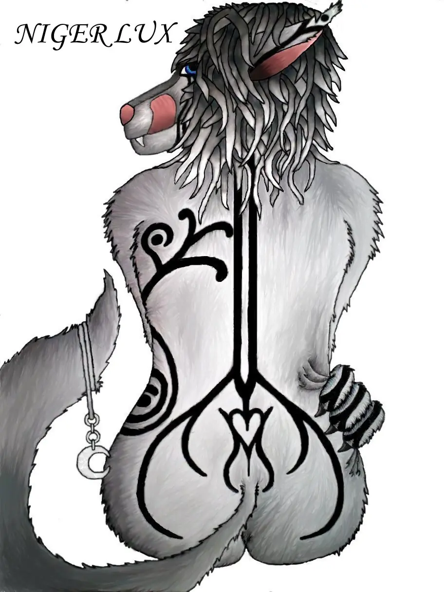 NigerLux - anthropomorfo argentino- mis dibujos.