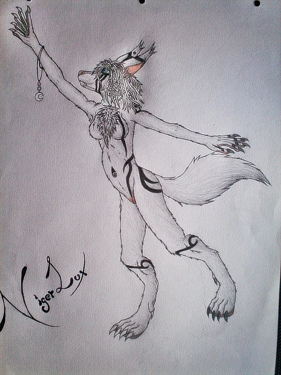 NigerLux - anthropomorfo argentino- mis dibujos.