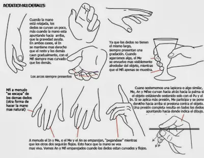 BIBLIOTECA DE DIBUJO