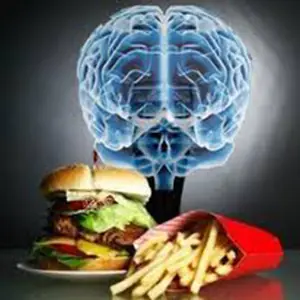 cerebro