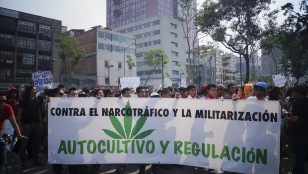 quieren legalizar la marihuana en mexico