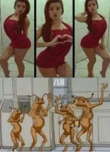 fotos