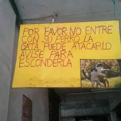 Las Mejores Colombianadas + Yapa