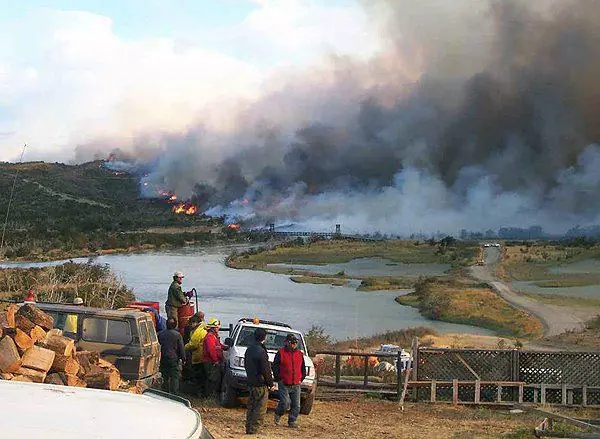 Incendio Forestal en Torres del Paine