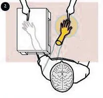 cerebro