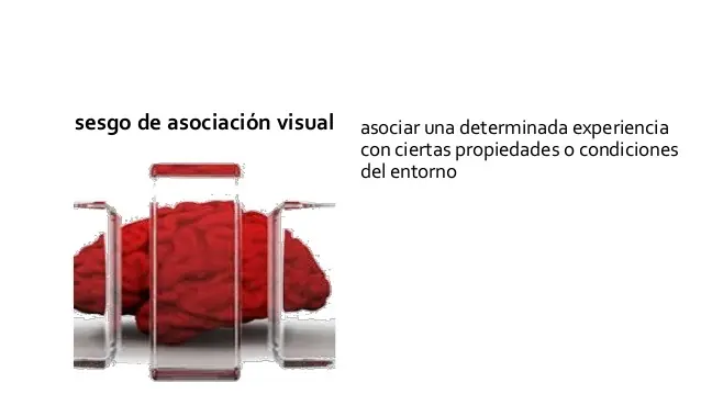 cerebro