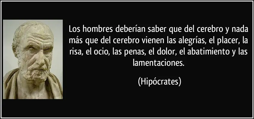 enganos del cerebro