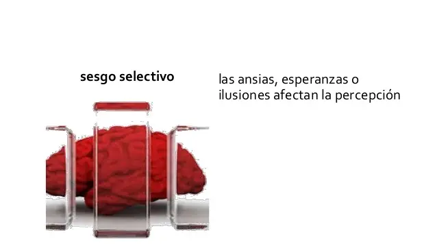 ciencia