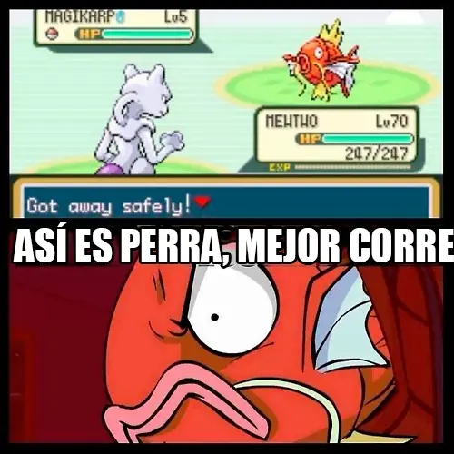 diversion