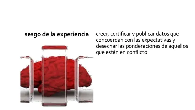 enganos del cerebro