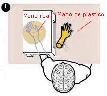 Experimentos