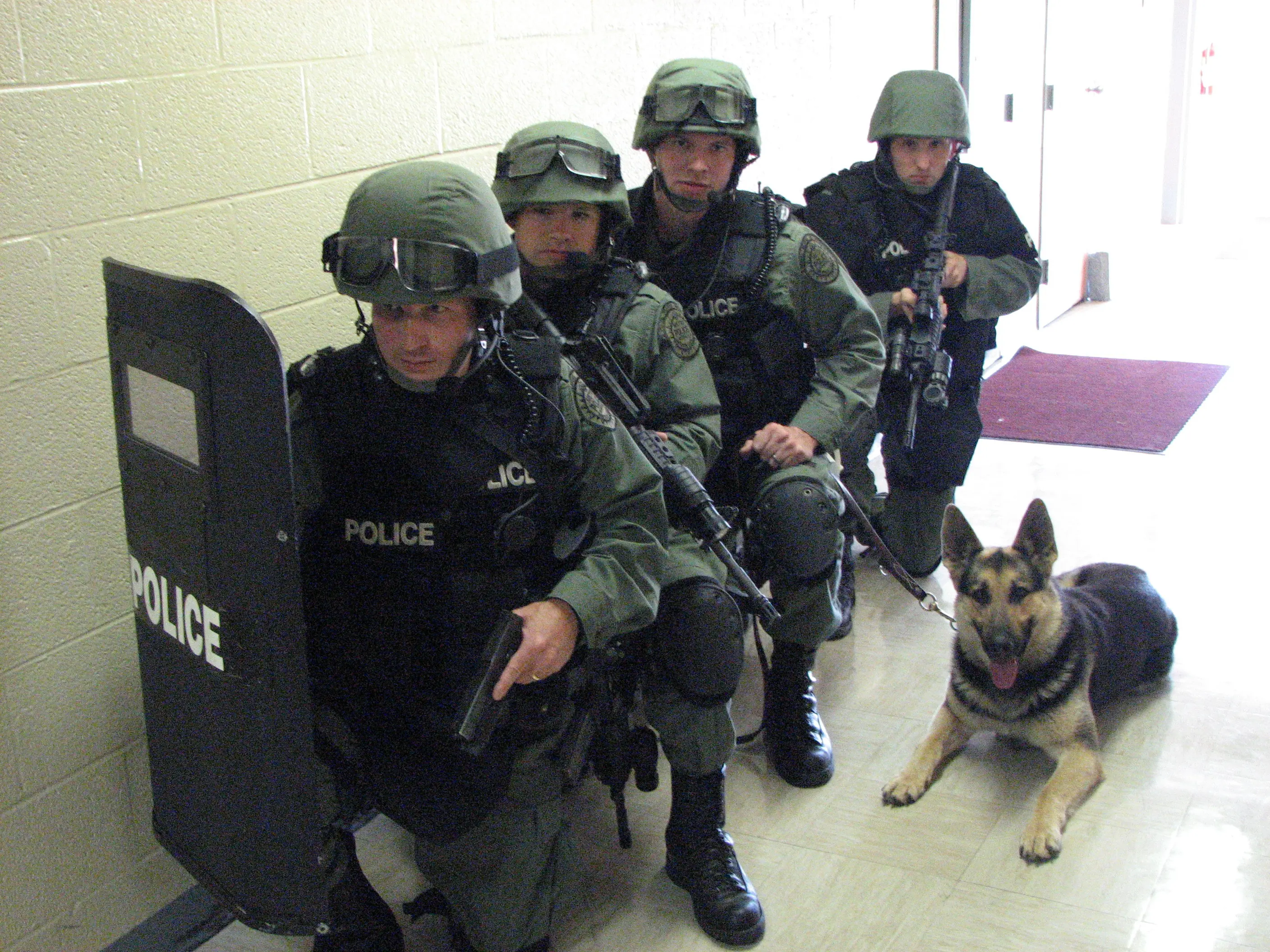 Un poco de historia e imágenes de S.W.A.T