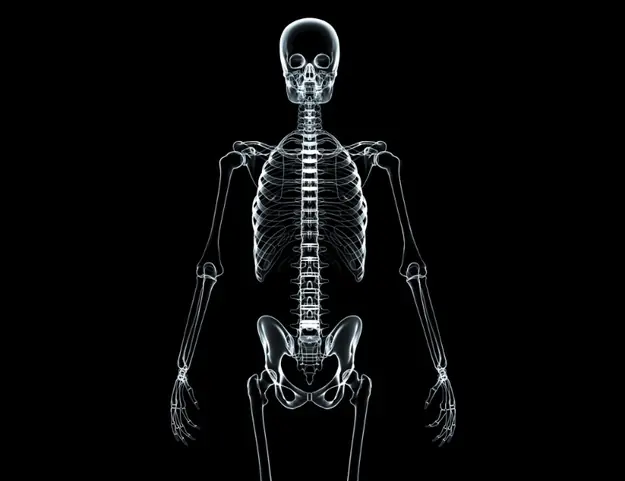 12 Datos asombrosos sobre tu cuerpo