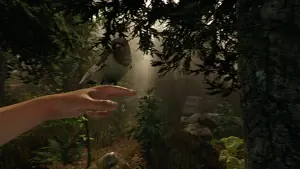 the forest