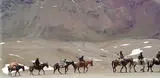 Cruce de los Andes a Caballo - Cabalgatas en la Cordillera