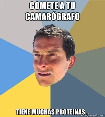 muchos