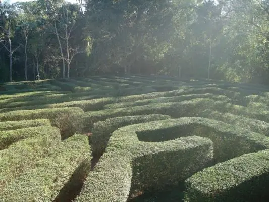 para
