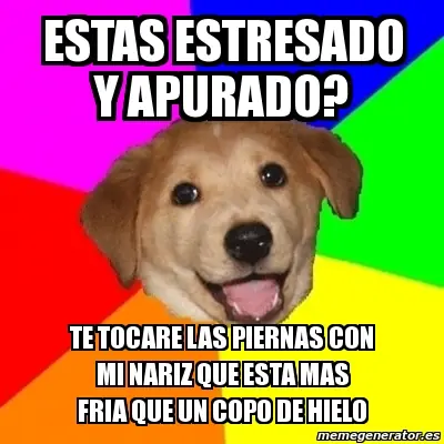 bajar videos hd