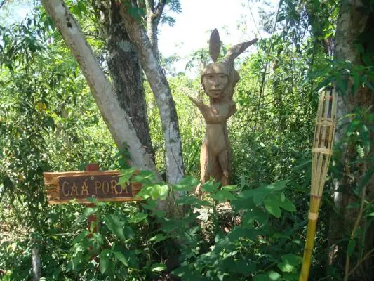 misiones