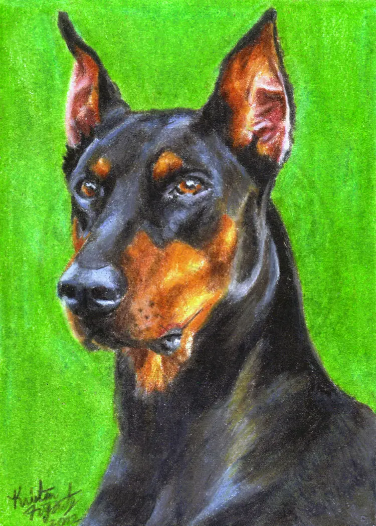 El Doberman
